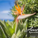 Ammos Apartments