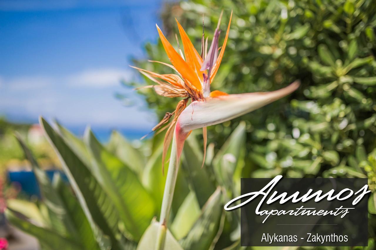 Ammos Appartement Alykanas (Zakynthos)